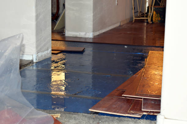 Professional Burst Pipe Cleanup technician working in Arden, NC